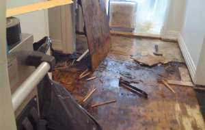 water damage clean up