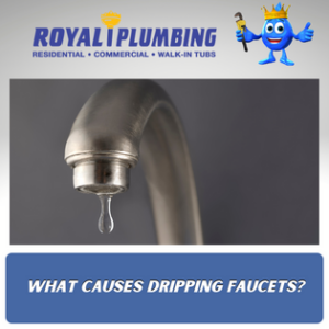 pro plumbing services